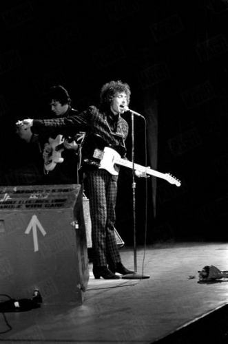z29844dylan.jpg