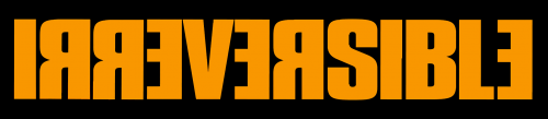 z31339irreversibleàl'envers.png
