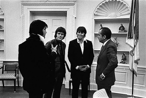elvis presley,dictators,ovations,datsuns,dean wareham,jade brodie,aortes,reptilian arms