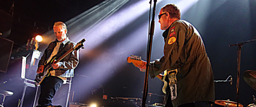 john cale,bigbyrd,primal scream,wild billy childish,darando,thumos