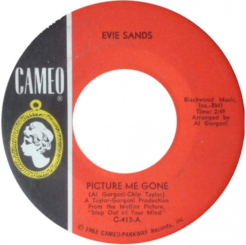 , mick farren, spunyboys, len price 3, evie sands, bass drum of death, the red riding, sans roi,