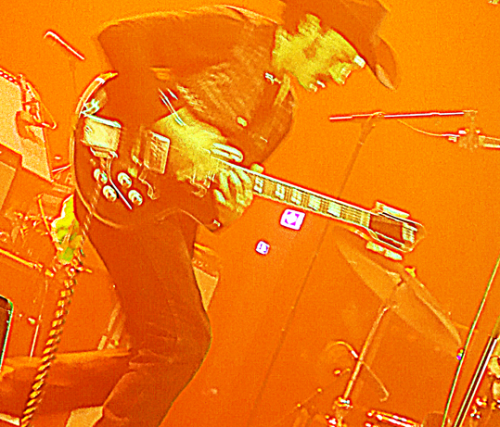 , bob dylan, black lips, night beats, smokey robinson, odyum, kassi valazza,