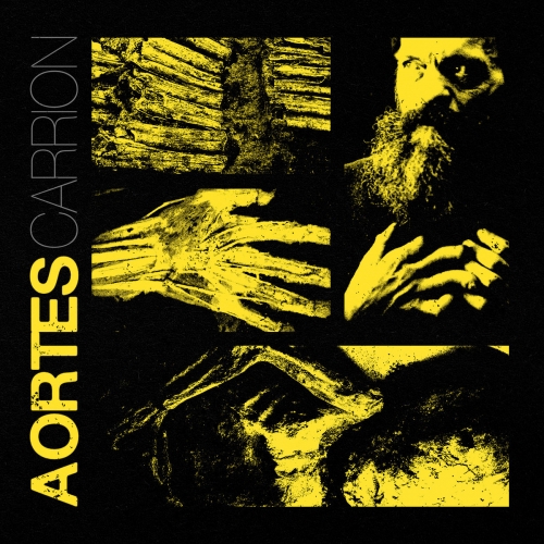 elvis presley,dictators,ovations,datsuns,dean wareham,jade brodie,aortes,reptilian arms