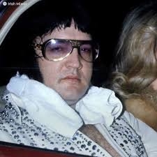 elvis presley,dictators,ovations,datsuns,dean wareham,jade brodie,aortes,reptilian arms