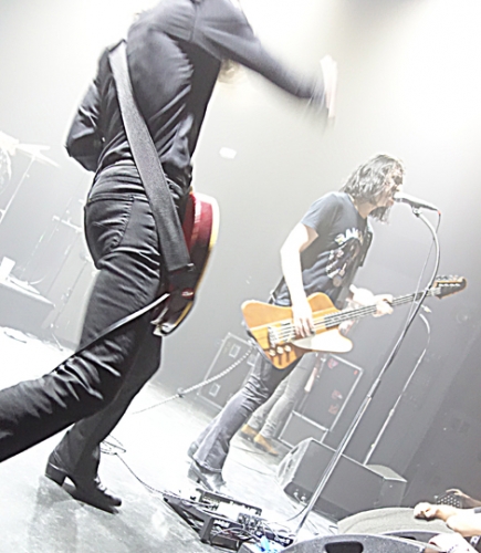 , elvis presley, dictators, ovations, datsuns, dean wareham, jade brodie, aortes, reptilian arms