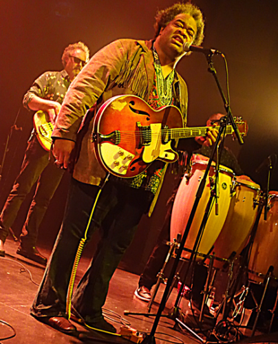 z29813guitar.png