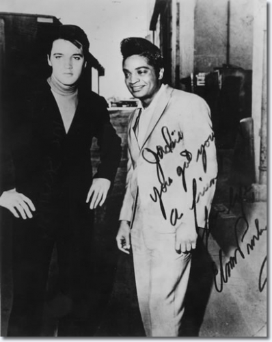 elvis presley,dictators,ovations,datsuns,dean wareham,jade brodie,aortes,reptilian arms