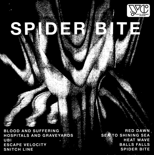 larry jon wilson,daniel romano,swervedriver,laurence mayers,crack cloud,juniore,the super soul revue,once upon the end,frederic gournay,william blake