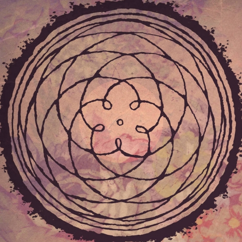 stooges + mc 5,kid congo,jackie wilson,wondermints,john hammond,guyođ,apathean