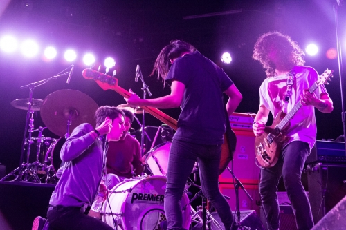 stooges + mc 5,kid congo,jackie wilson,wondermints,john hammond,guyođ,apathean