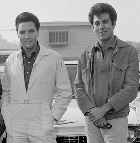 elvis presley,dictators,ovations,datsuns,dean wareham,jade brodie,aortes,reptilian arms