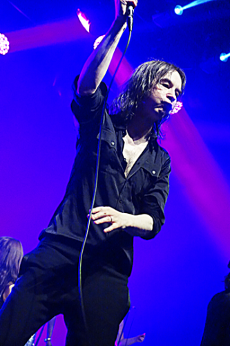 ,john cale, bigbyrd, primal scream, wild billy childish, darando, thumos,