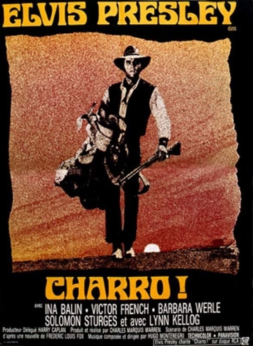 z30317charro.jpg