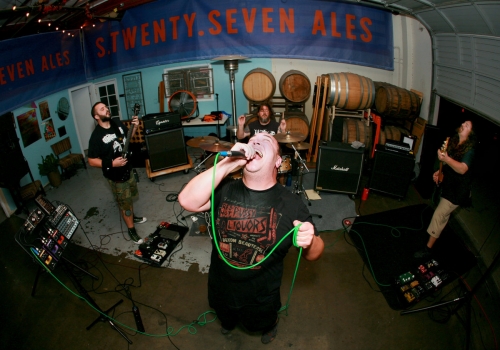 elvis presley,dictators,ovations,datsuns,dean wareham,jade brodie,aortes,reptilian arms