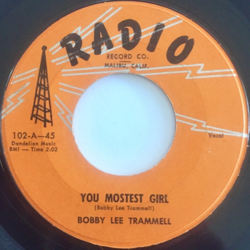 laissez fairs,bobby lee,swallow the rat,harold bronson,outsiders,ashen,ac sapphire,kraton,elvis presley,gene vincent + slim jim phamton