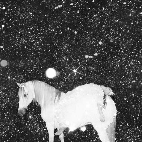 , bob dylan, black lips, night beats, smokey robinson, odyum, kassi valazza,